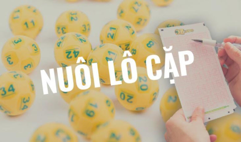 nuoi-lo-cap-5-ngay Nuôi lô cặp 5 ngày