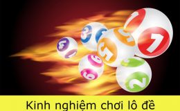 kinh nghiệm nuôi lô 1